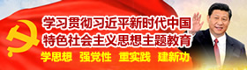 学习贯彻习近平新时代中国特色社会主义思想主题教育 学思想 强党性 重实践 建新功