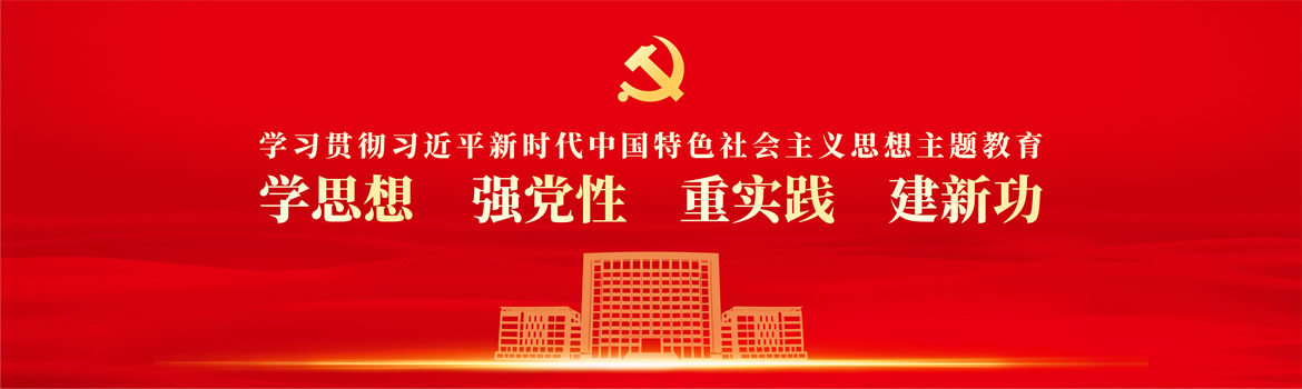 学习贯彻习近平新时代中国特色社会主义思想主题教育 学思想 强党性 重实践 建新功